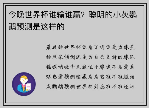 今晚世界杯谁输谁赢?聪明的小灰鹦鹉预测是这样的