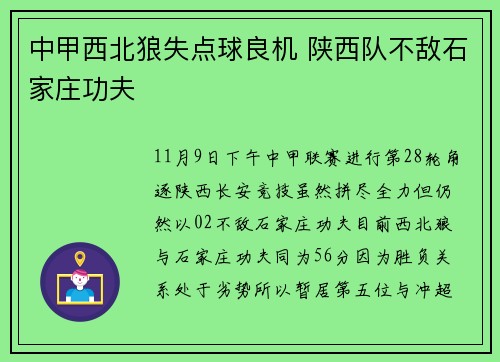 中甲西北狼失点球良机 陕西队不敌石家庄功夫