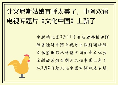 让突尼斯姑娘直呼太美了，中阿双语电视专题片《文化中国》上新了